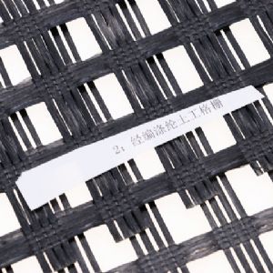 經(jīng)編滌綸土工格柵